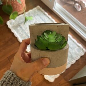 Free w any purchase. Fake Succulent Pencil or Makeup Brush Holder